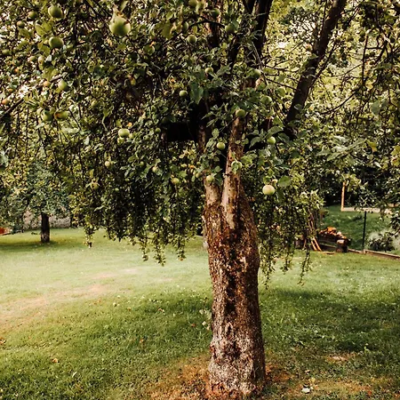 Stodola Na Kamionce Апартаменты