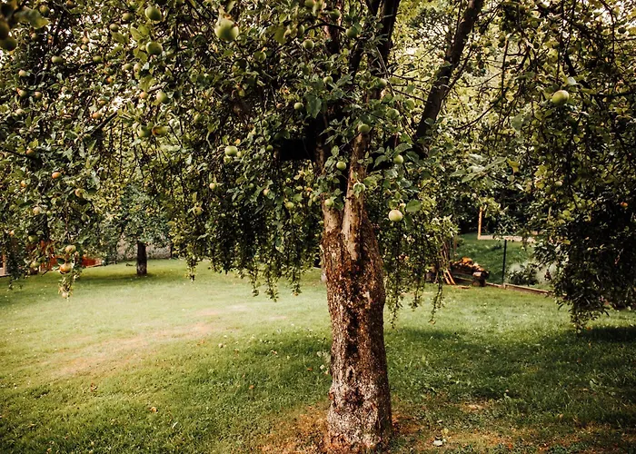 Stodoła Na Kamionce Apartament